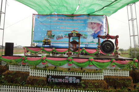รณรงค์ปลูกหญ้าแฝกเฉลิมพระเกียรติ